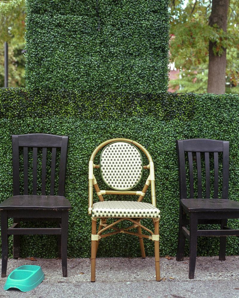 Palm Outdoor Lounge Set
